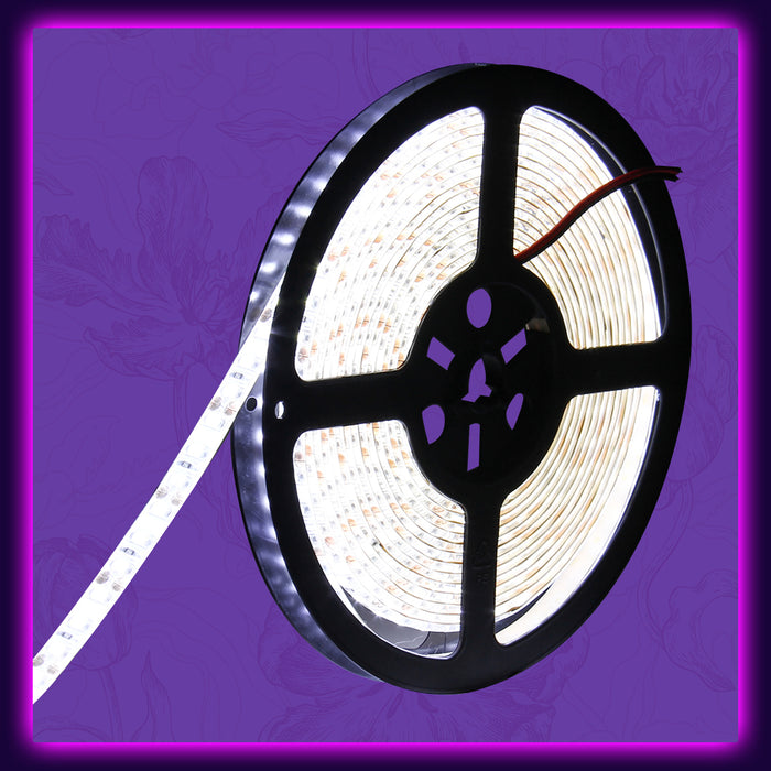 SUPERNIGHT 16.4ft 600leds Cool White LED Light Strip, Waterproof SMD 3528 Flexible Tape Cold White Rope Lighting Decorate for Bedroom TV Backlighting Boat Car Halloween Christmas Party