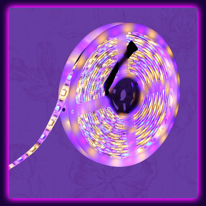 SUPERNIGHT RGBW LED Strip Light RGB Color with Warm White Waterproof Changing Rope Lighting 3500K Color 16.4ft 300leds 5050 Tape Light (RGB + Warm White)