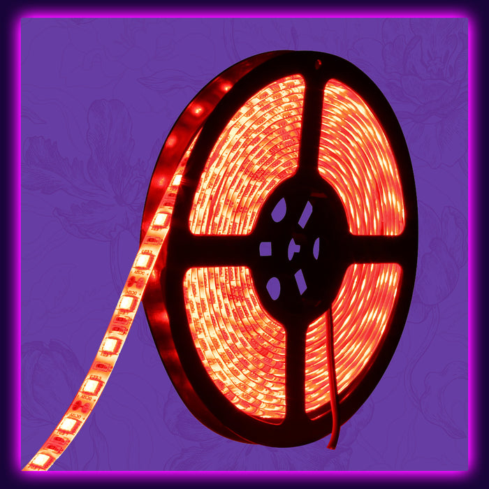 SUPERNIGHT 16.4FT SMD 5050 Waterproof 300LEDs Red LED Flash Strip Light, LED Flexible Ribbon Lighting Strip 12V 60W